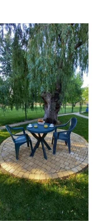 Logement Lumineux, Entierement Renove Avec Jardin Caumont-sur-Durance Экстерьер фото